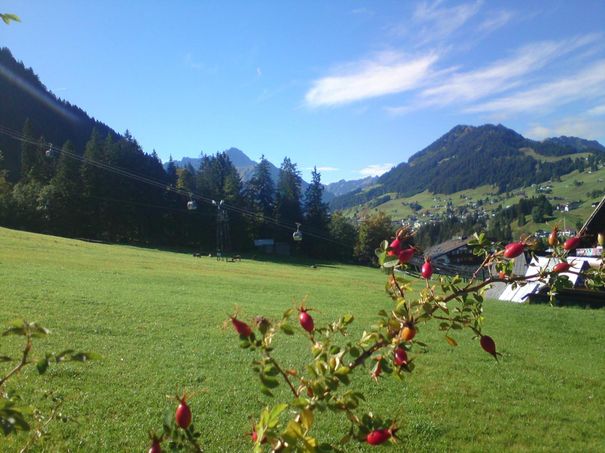 Schusterhof Villa Mittelberg Exterior photo